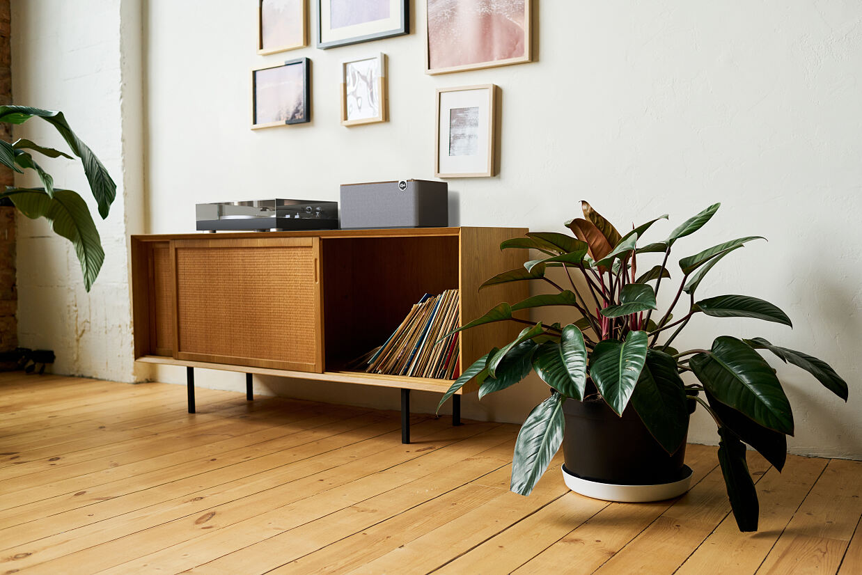 The Three Plus - Lifestyle 11 - Walnut