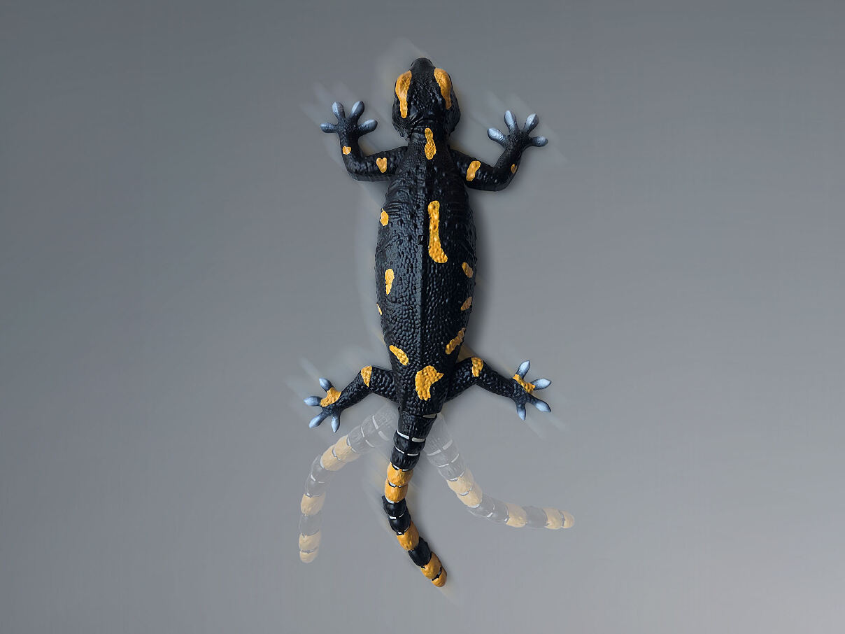 Revell_RC_Salamander_03