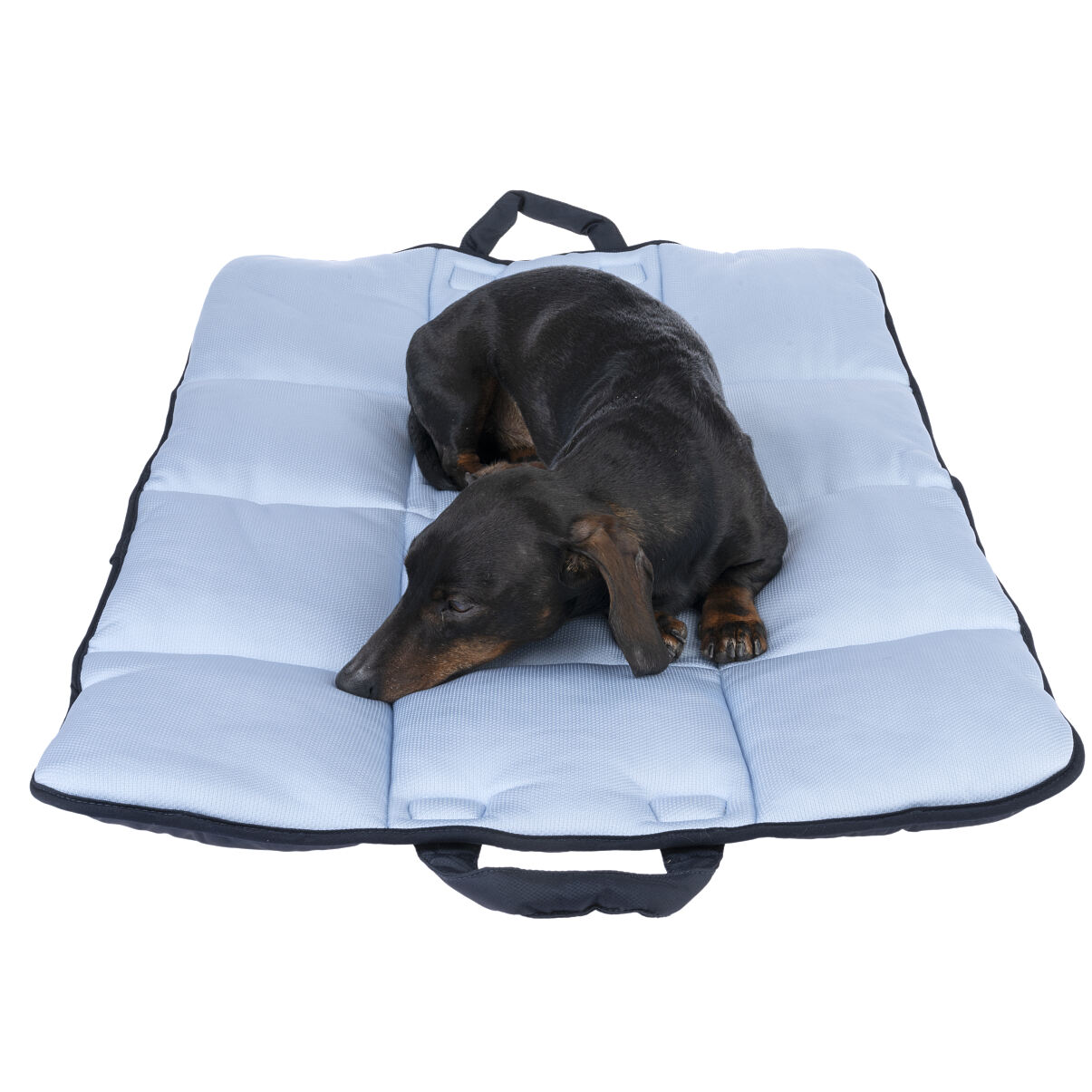©zooplus_Spirit Travel Cooling Mat