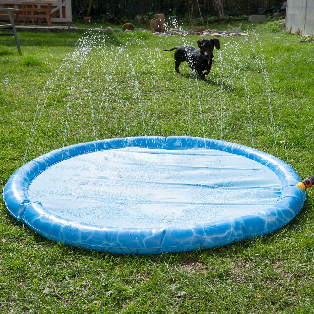 ©zooplus_Tiaki Dog Splash Pool