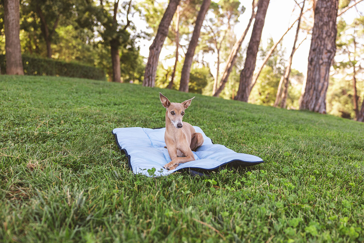 ©zooplus_Spirit Travel Cooling Mat
