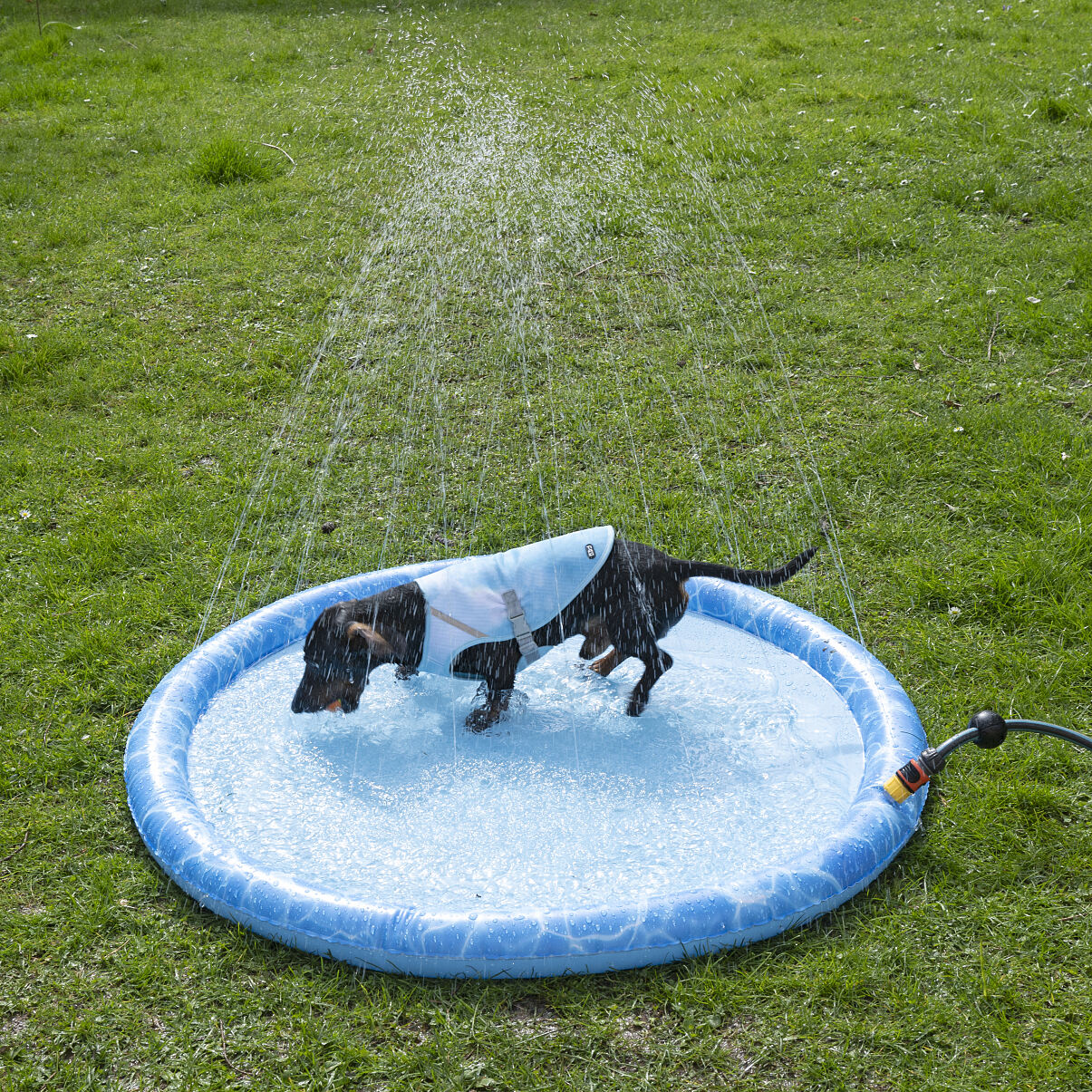 ©zooplus_Tiaki Dog Splash Pool