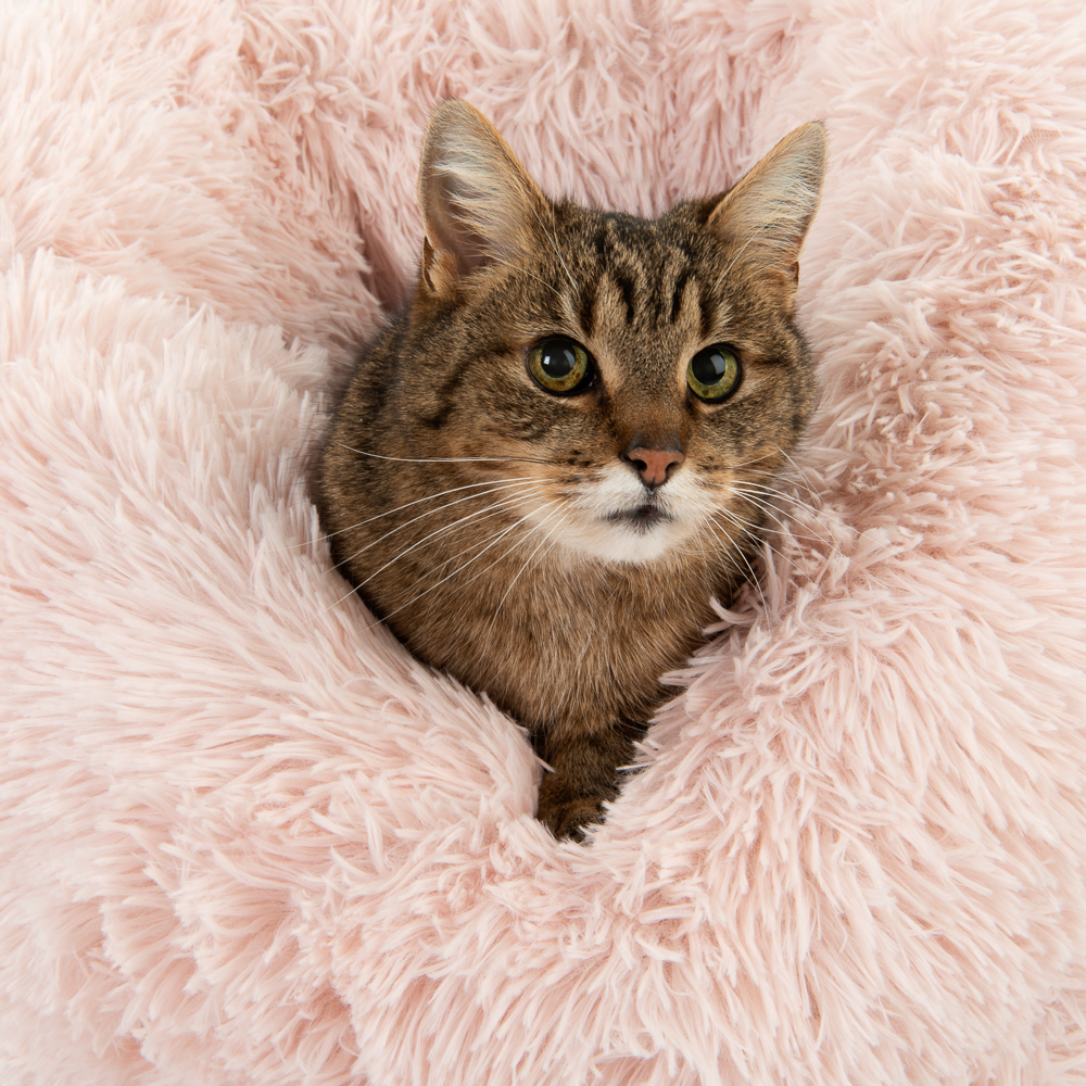 105500_Katzenbett Mochi_pink_FG-7141
