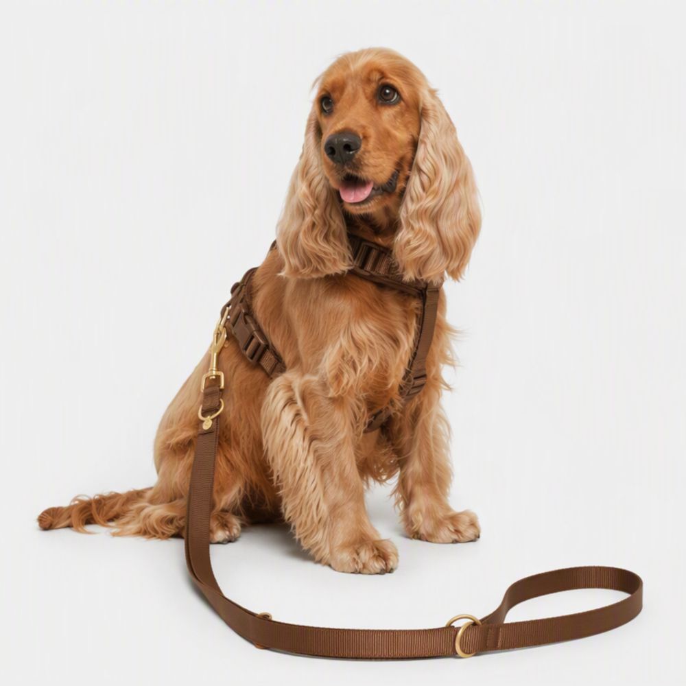 Nomad Tales Walking Set Blush Limited Edition mocha (Geschirr + Leine  Cocker Spaniel)