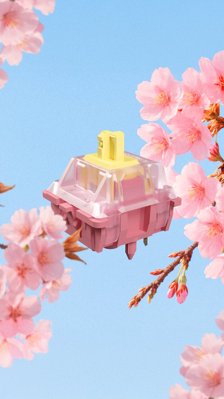MX_Blossom_5