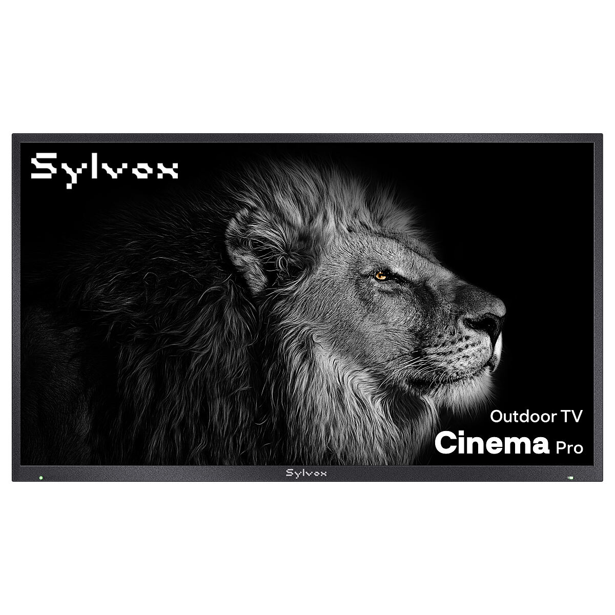 Cinema_Cut_out-1_high_res