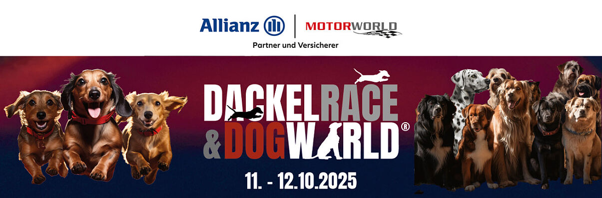 DogWorld_Email_Banner