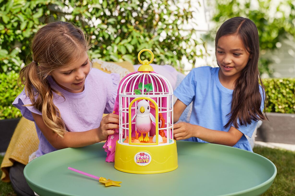9561_PETSALIVE_POLLYMAGICBIRD_small