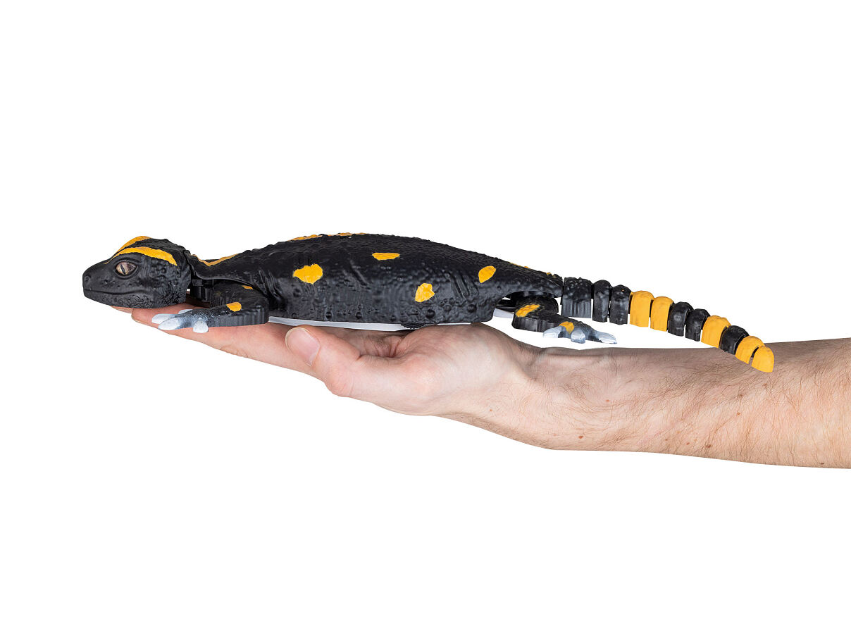 Revell_Control_RC_Robo_Salamander__24705_06